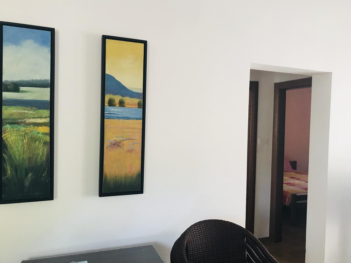 Apartments Sneza ريسان المظهر الخارجي الصورة